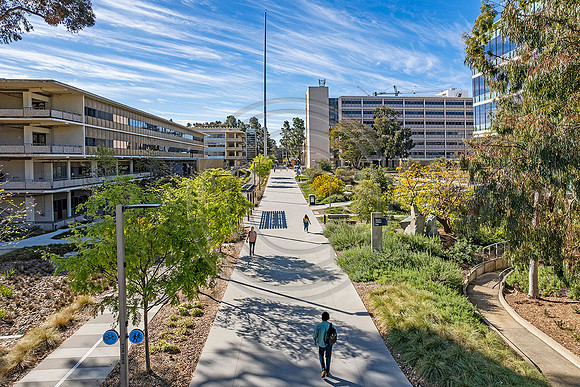 UCSD Bridgewalk