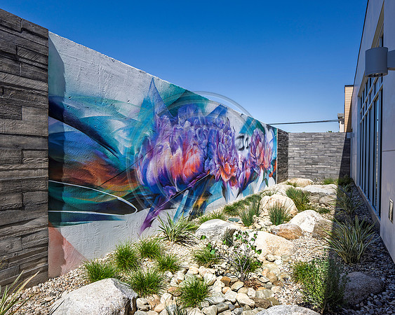_B8A3636-Pano