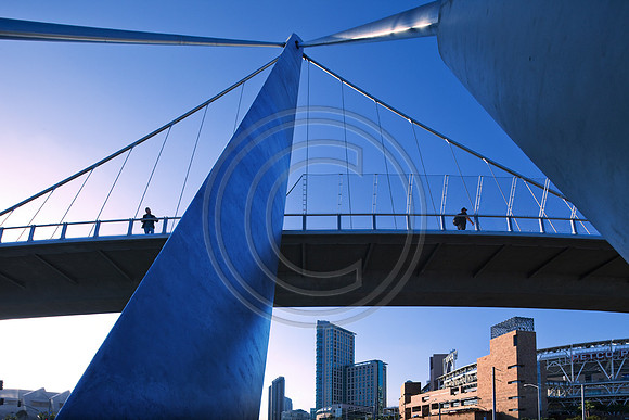 _MG_5079-2
