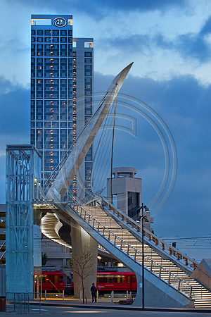 _MG_5143 copy