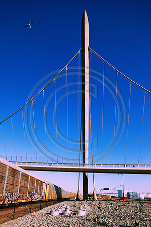 _MG_5045-2