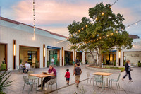 Dove Library Courtyard 11-15-18