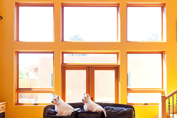 Windows detail at La Jolla, CA home