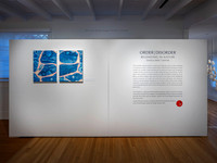 Order Disorder Opening
