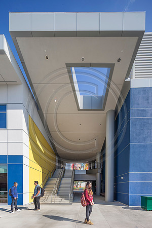 _MG_6554 copy