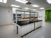 Labs