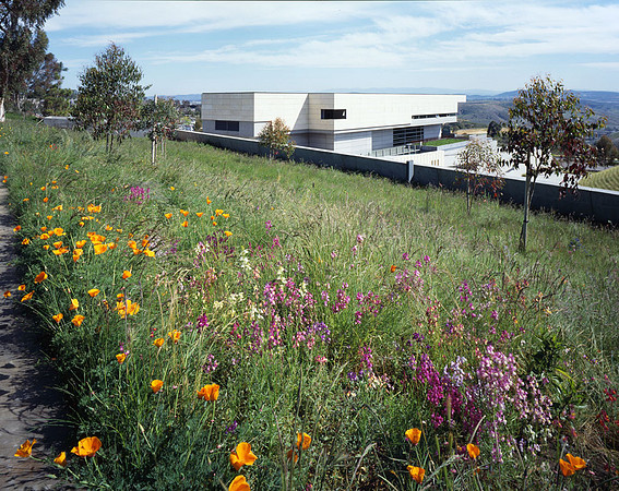 Neurosciences Inst. La Jolla, CA