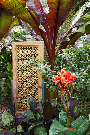 Landscape detail at Rancho Sta. Fe, CA home